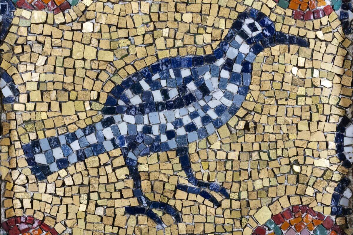 Foto del mosaico dello storno.